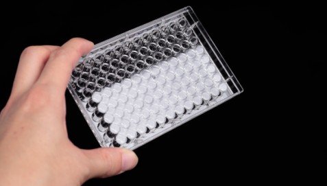 Материал Azzota PS Стерилна 6-луночный таблетка за култивиране на клетки (Един блок) - 128x85x22 мм