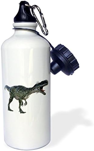 Спортна бутилка за вода 3dRose Monotophosaurus and Bending Roaring, 21 унция, Боядисана