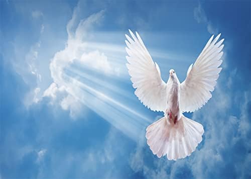 BELECO 5x3ft Текстилен Фон с Гълъб на Мира, Птица на Светия Дух, Исус Христос, на Фона на Светли Небеса, Светло-Синьо