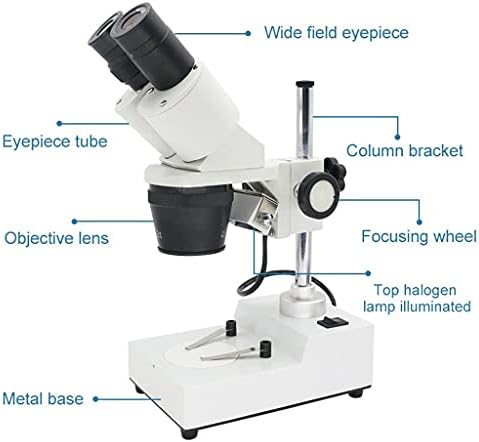 LIRUXUN Бинокъла на стереомикроскоп Промишлен Стереомикроскоп Горната led светлини Инструмент за ремонт на спояване на печатни платки мобилен телефон (Цвят: OneColor, разм