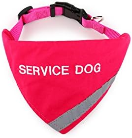 Кърпа с бродерия услуга куче | Светоотражающая ивица за безопасност домашни любимци | Вграден в Кърпа яка в
